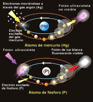 Representación esquemática de la forma en que el átomo de mercurio (Hg) emite fotones de luz. utravioleta, invisibles para el ojo humano y como el átomo de fósforo  (P)  los  convierte  en  fotones  de. luz blanca visible, tal como ocurre en el interior del tubo de una lámpara fluorescente.