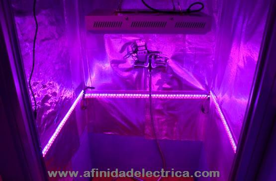 C�mara de cultivo indoor iluminada en forma cenital y lateral con tiras de LEDs de colores que favorecen la floraci�n.